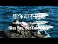 Miss You But Can't Meet - 想你却不能见  - Xiǎng Nǐ Què Bù Néng Jiàn 【Pinyin】Chinese Sad Women Song