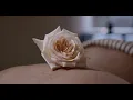Royal Velvet Touch Spa Delhi Luxury Full Body Massage Wellness Therapy