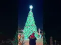 christmas tree lighting countdown