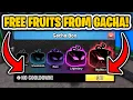 HOW TO GET FREE FRUITS FROM BLOX FRUIT GACHA NO COOLDOWN