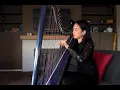 Get Lucky - Daft Punk (Harp)