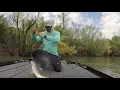 Flipping Bushes on Kentucky Lake