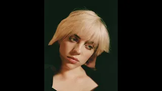 billie eilish ft elijah the boy u0026 te z birds of a feather remix extended 