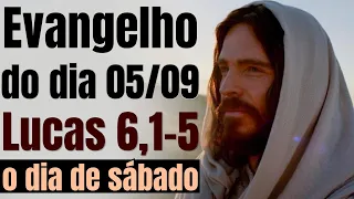 Evangelho do dia com reflexão, Sábado 05/09, Lc 6,1-5