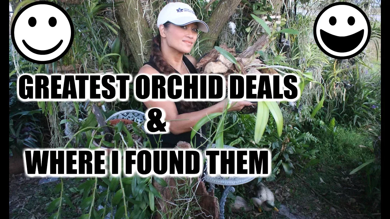 MOST TREASURED ORCHID FINDS AND WHERE I GOT THEM