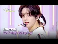 Download Lagu ENHYPEN (엔하이픈) - XO (Only If You Say Yes) [Lyrics] | KBS WORLD TV 240712