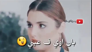                                            حماقي   يا ست ار   كلمات دندنها