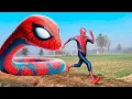 Download Lagu Homem Aranha e a Cobra Aranha - Filme Completo (2025)