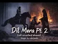TALWIINDER - DIL MERA PT. 2 ( lofi reverd slowed ) prod. by 30KEY!