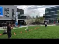 Guinness world record Biggest Soap Bubble Net