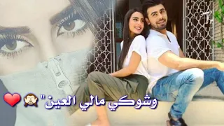 اصيل هميم وحسين الغزال هاي اول مره اغني الحان نصرت البدر مسلسل هوه بغداد دندنها