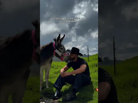 Cuántos besos pa ti mi reina