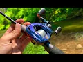 the KASTKING Kestrel SE bfs reel FISHED REVIEWED