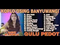 DINI KURNIA - GULU PEDOT, GERIGIS, REHANA - FULL ALBUM KOPLO OSING BANYUWANGI VIRAL TERBARU 2025