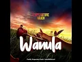 Download Lagu Wanula Official Audio - Temperature Touch             #music #paisayenyasathiupay #musicservice