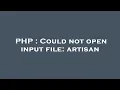 PHP Could not open input file artisan