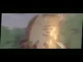 Amv Botuto