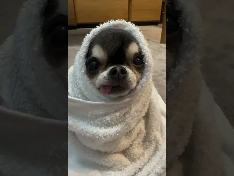 Bath time 🫧 🛁˚