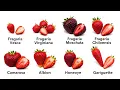 Every Strawberry Explained in 14 Minutes