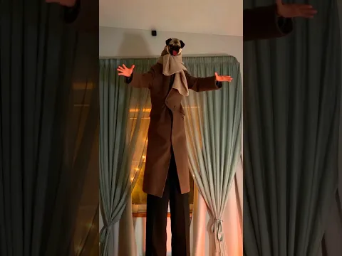 НА ОСКАРА НАПАЛ МОПСОГОЛОВЫЙ 😵