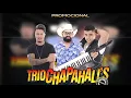 Download Lagu FORRÓ TRIO CHAPAHALL´S VOL 06