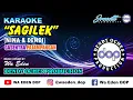 Download Lagu KARAOKE SAGILEK - NINA \u0026 DENDI (GASENTRA PAJAMPANGAN) │ MUSIC COVER BY WA EDEN
