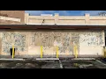 Young 83 Hoover Gang Member Murdered by Rollin 60 Crip in Vermont Knolls