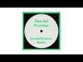 Cleo Sol - Promises (Conbel Evrence Remix)