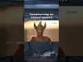 Download Lagu seandainya taiga tau kelakuan bapaknya || #ultramantaro #ultramanginga #meme #memes #ultraman