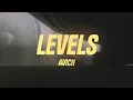 Avicii - Levels