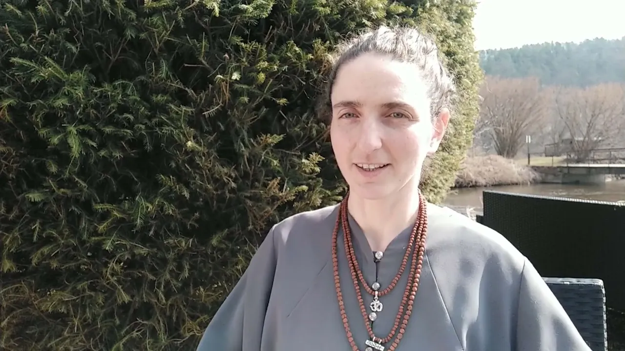 course ахимса. часть 1 image