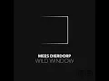 Wild Window (feat. Tricky Trio)