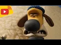 Download Lagu Shaun the Sheep - LIVE 🚨 BRAND NEW EPISODES 🐑 Cartoons for kids, Preschool, Farm, Family, Happy