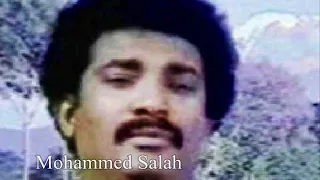 العميرى وتماضر شيخ الدين ارض الطيبين إنصاف بطاقة 