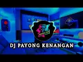 DJ PAYONG KENANGAN REMIX TERBARU 2025 FULL BASS