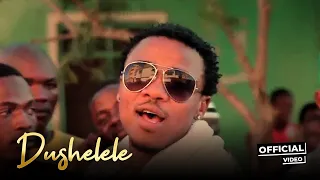Alikiba Dushelele Official Music Video 