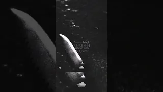 Listen To Zendeh Ariozh X Morshed PIRI By AQ PIRIAM Https On Soundcloud Com Hdpxt 