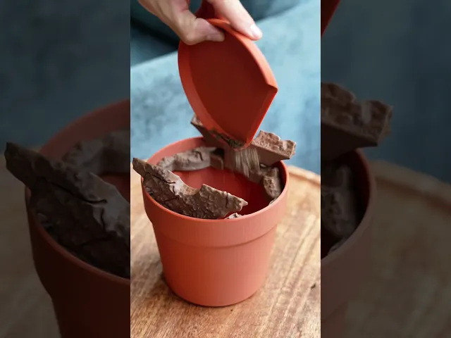 Dust-Free Dragon Tree | The Brush, Trashcan, Dustpan all-in-one Plant video thumbnail