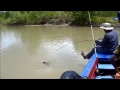 Download Lagu 1310 Suriname Fishing