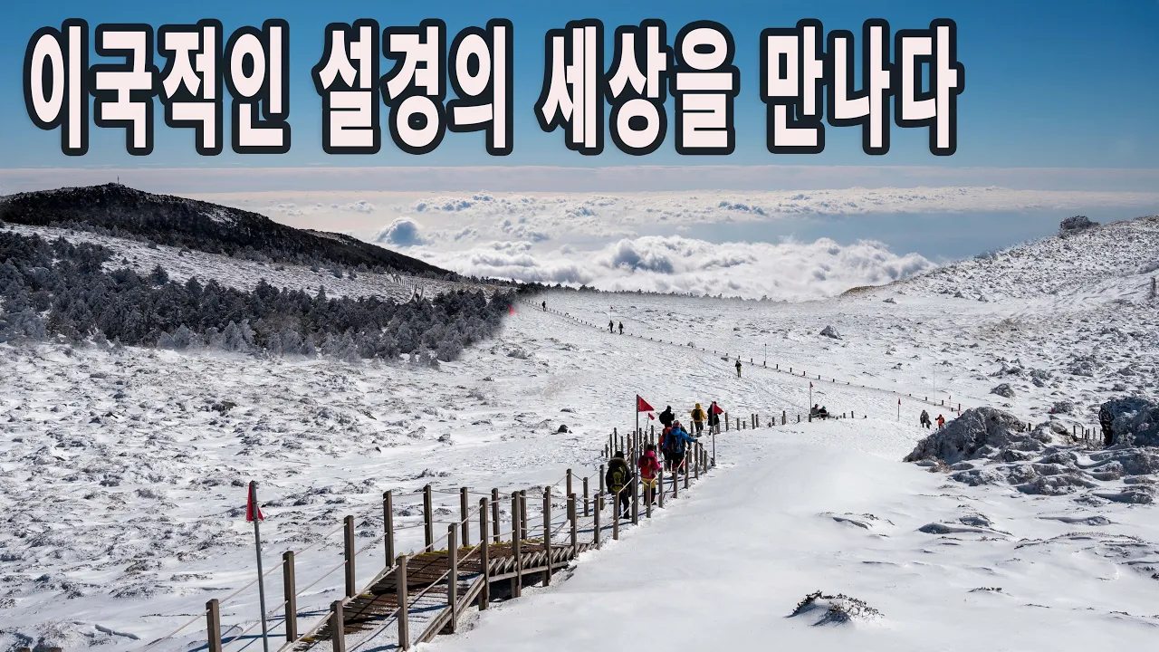 관련 영상 썸네일