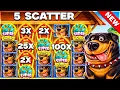 5 SCATTER SUPER BONUS On DOG HOUSE MEGAWAYS 1000 SLOT