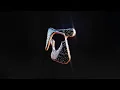 Download Lagu Sub Focus, Fireboy DML, Irah - Original Don