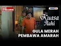 🔴 GULA MERAH PEMBAWA AMARAH | LIVE KUASA ILAHI | 8 DESEMBER 2025