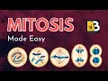 MITOSIS made easy