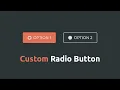 Amazing Custom Radio Button HTML CSS