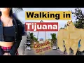 Tijuana Street Market Tour Zona Norte Reality Check