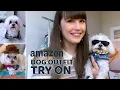 Amazon Dog Outfit Try On