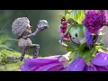 Download Lagu Building with Flowers is Hard - Becorns Episode 5