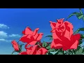 nora en pure - tears in your eyes ( slowed down ) - [432hz]