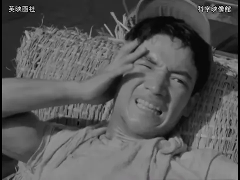 石ころの歌